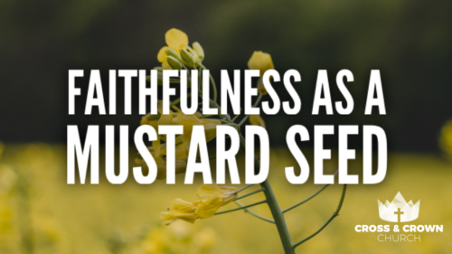 Faithfulness as a Mustard Seed Image